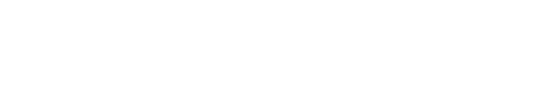 Global Value Advisors